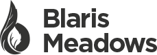 Blaris Meadows